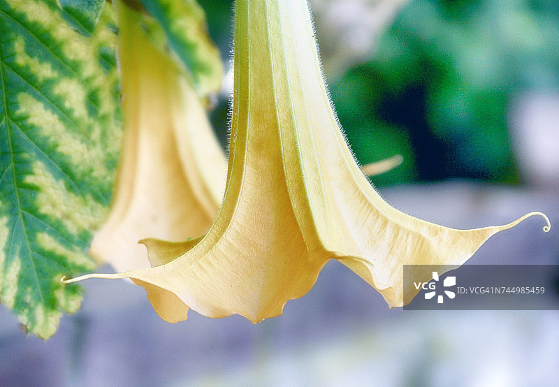 柔和的颜色图片素材