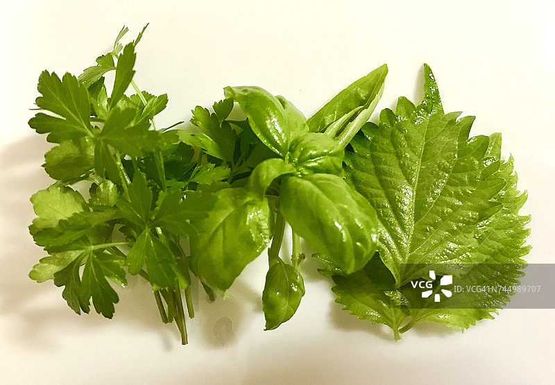 单色的颜色图片素材