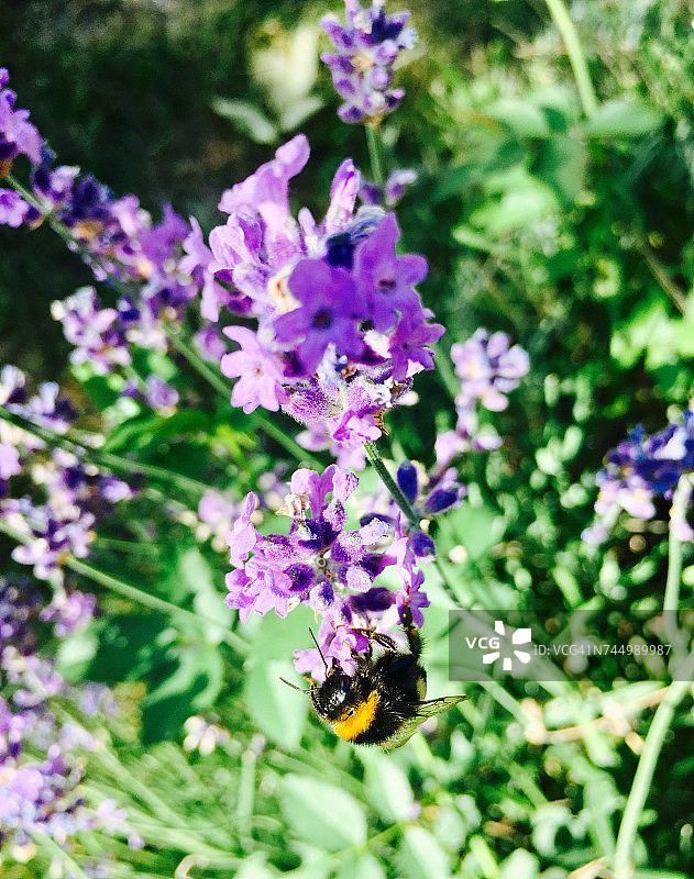 柔和的颜色图片素材