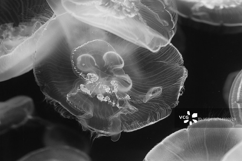 单色的颜色图片素材