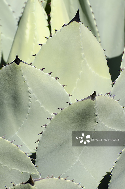 单色的颜色图片素材