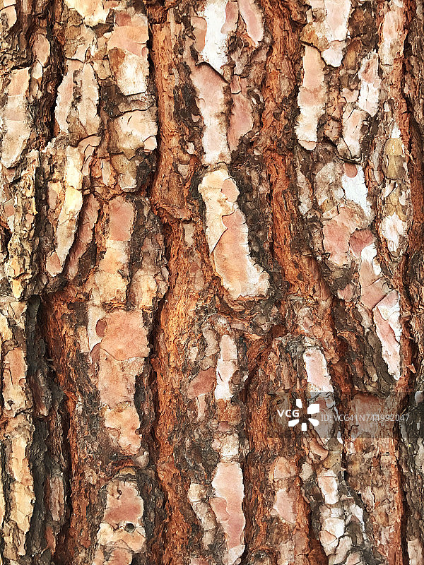 单色的颜色图片素材