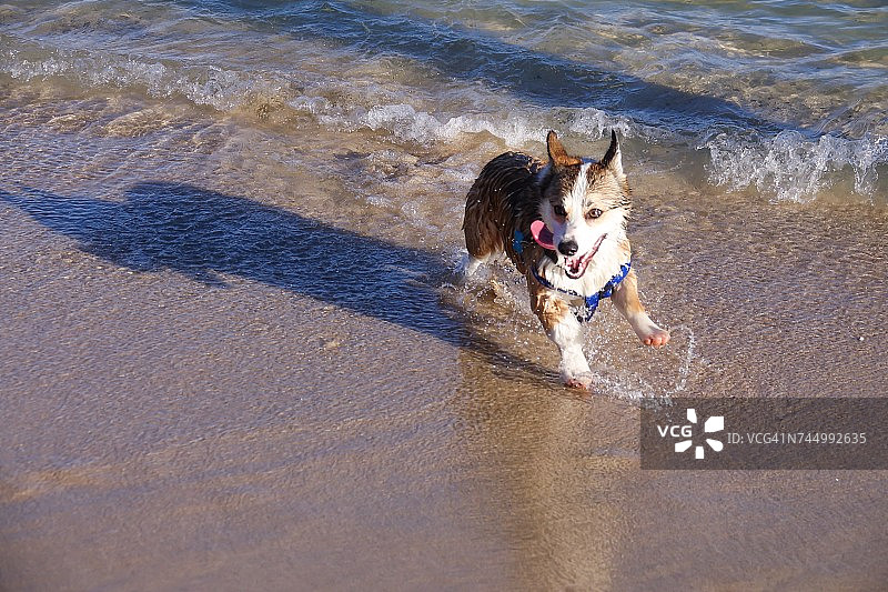 热起来了!图片素材