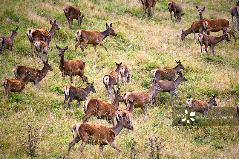 柔和的颜色图片素材