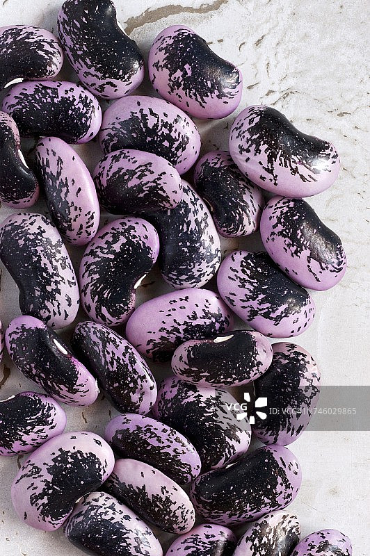 大量红花菜豆图片素材