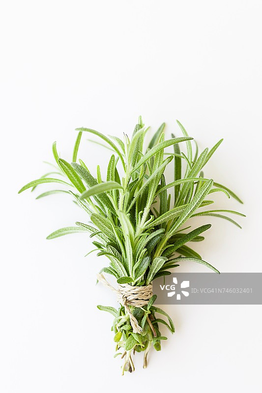 一束新鲜的迷迭香图片素材