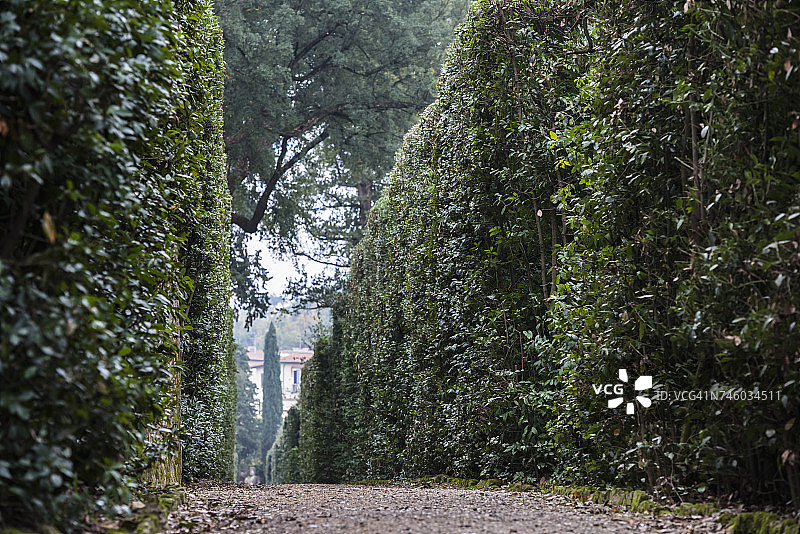 意大利托斯卡纳佛罗伦萨波波里花园小路图片素材
