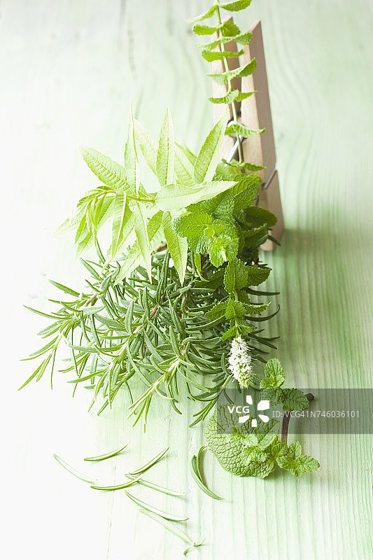 迷迭香、薄荷和柠檬香脂图片素材