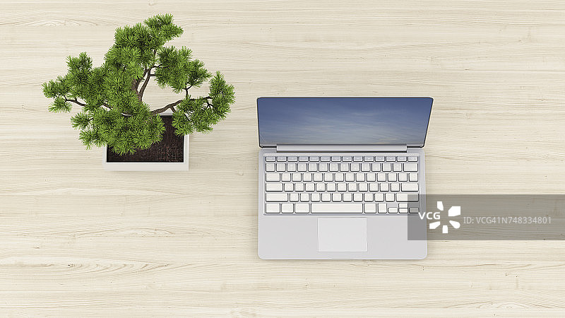 3D渲染：办公桌上的笔记本电脑与盆景图片素材