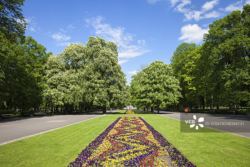 波兰华沙：萨克逊花园春季草坪花坛景观图片素材