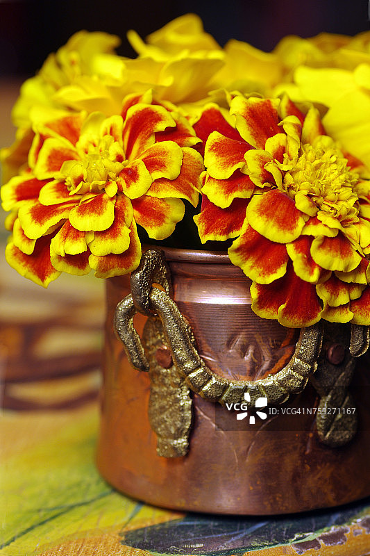 创意花瓶图片素材