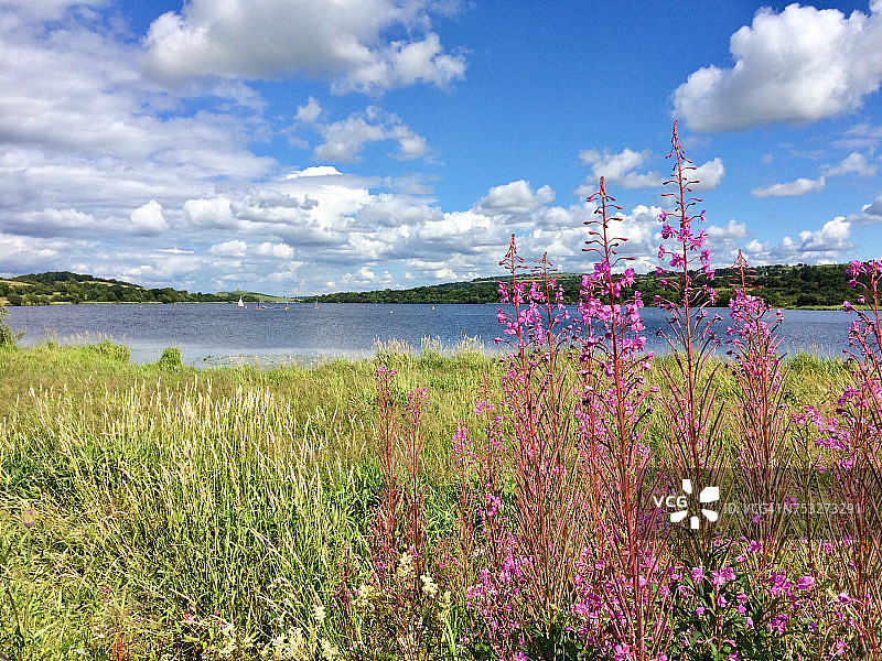 湖的生活图片素材