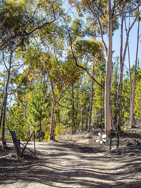 通往大门的碎石路图片素材