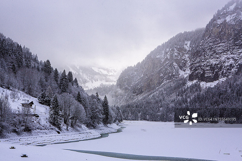 法国莫尔济讷的山湖和森林图片素材