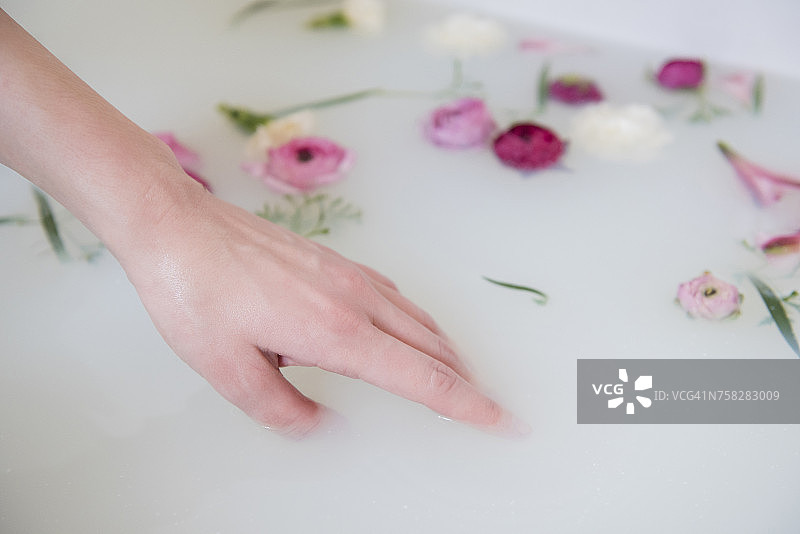 白人女性在牛奶浴中手持鲜花图片素材