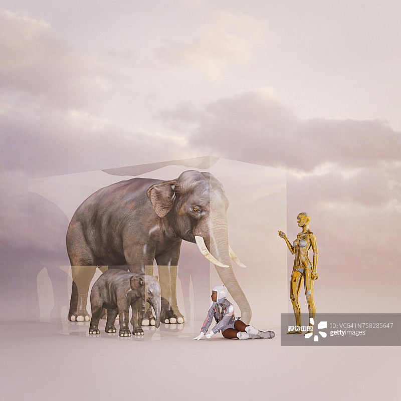 赛博格教女孩认识大象图片素材