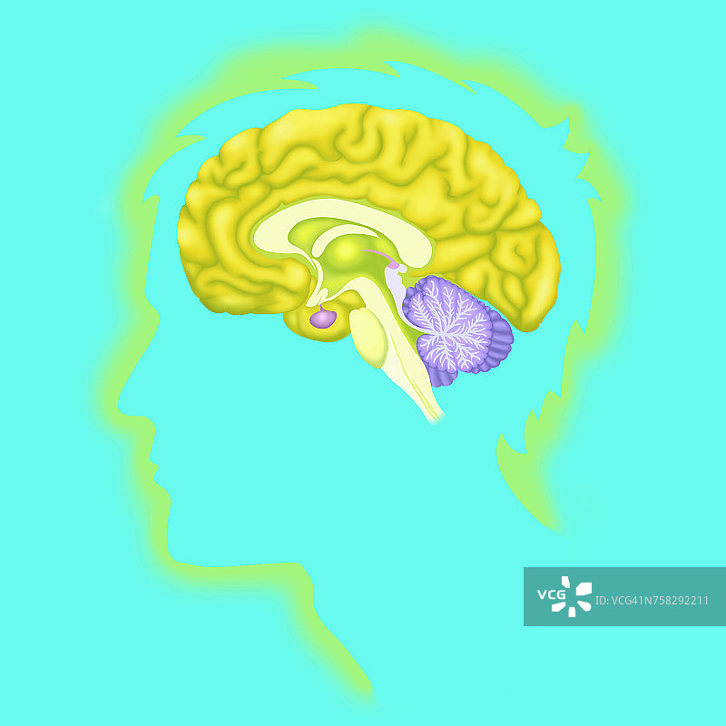 大脑绘画图片素材