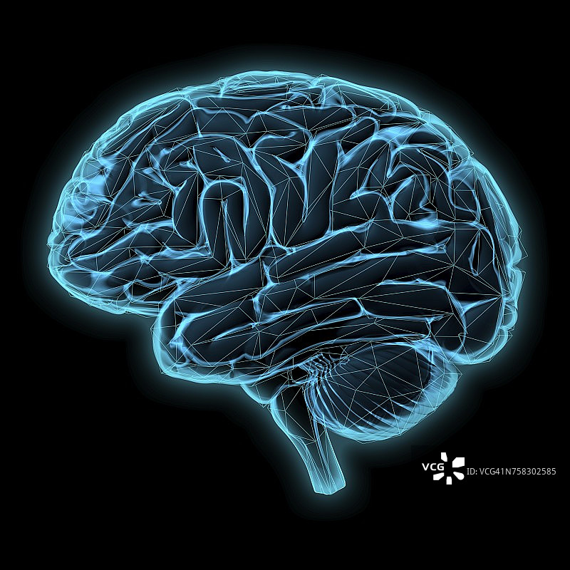 人类大脑、插图图片素材
