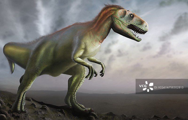 斑龙恐龙插画图片素材