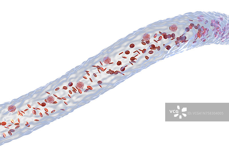 带有血细胞的血管插图图片素材