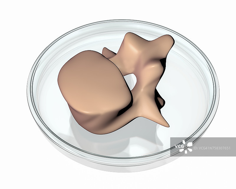 3D打印椎骨概念插图图片素材
