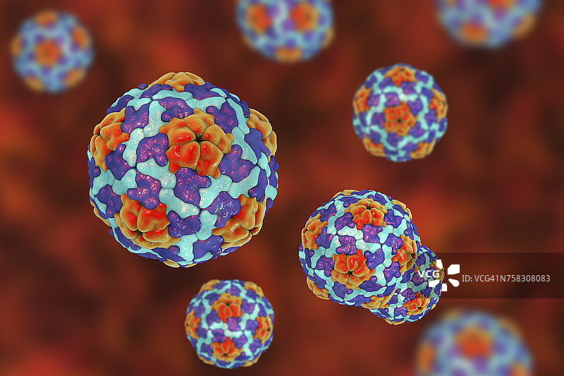 甲型肝炎病毒示意图图片素材