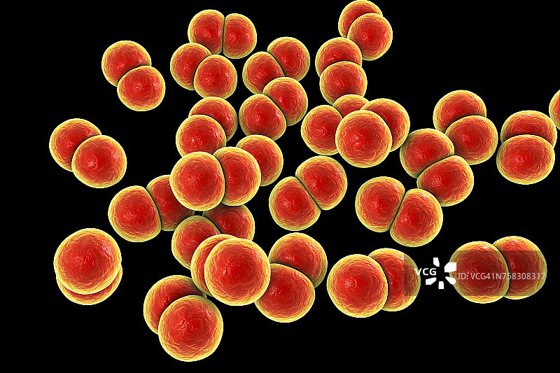 淋病奈瑟菌细菌，图示图片素材