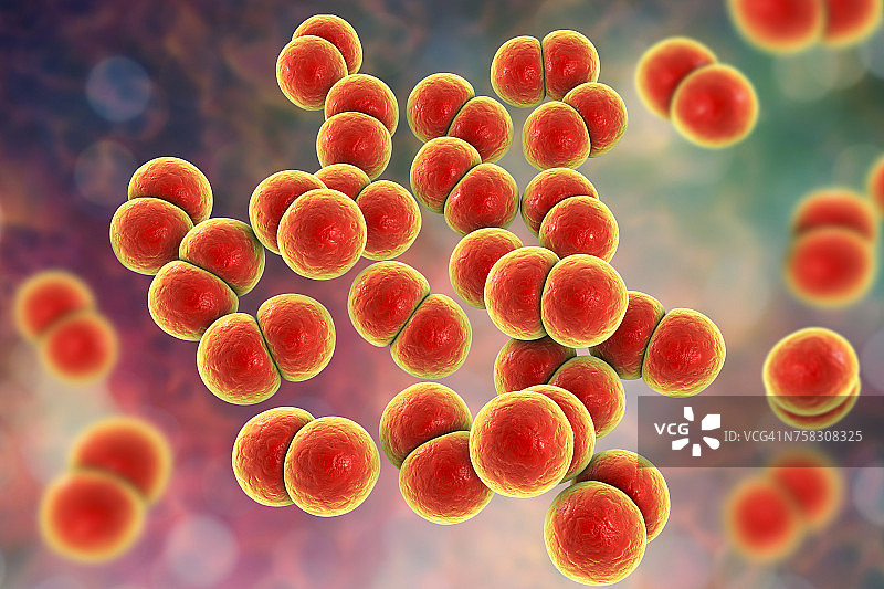 淋病奈瑟菌细菌，图示图片素材