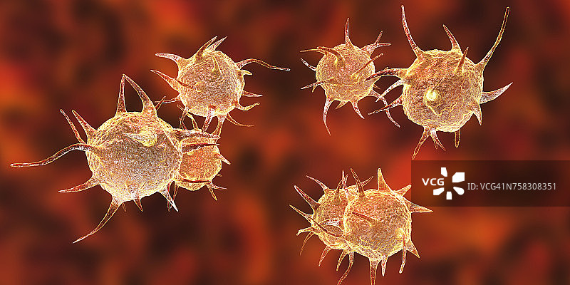 寄生微生物插画图片素材