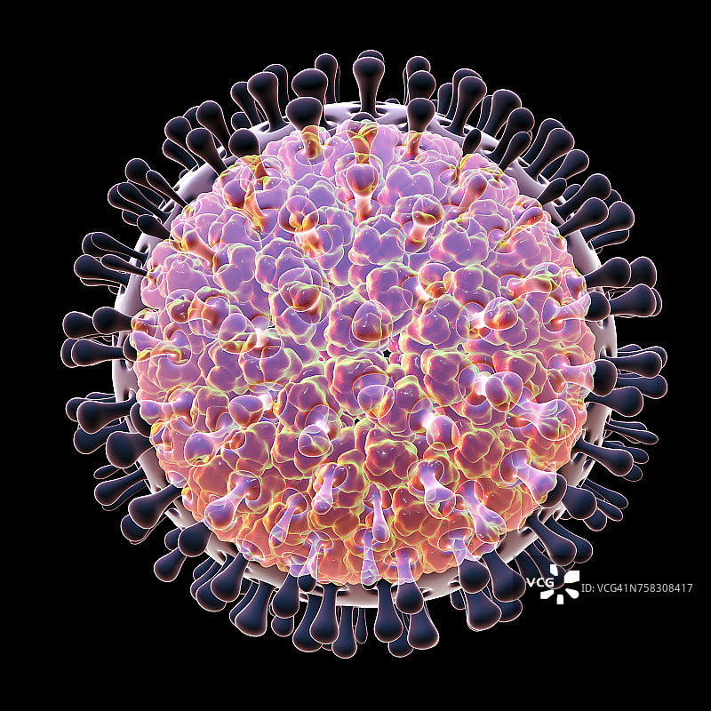轮状病毒颗粒示意图图片素材