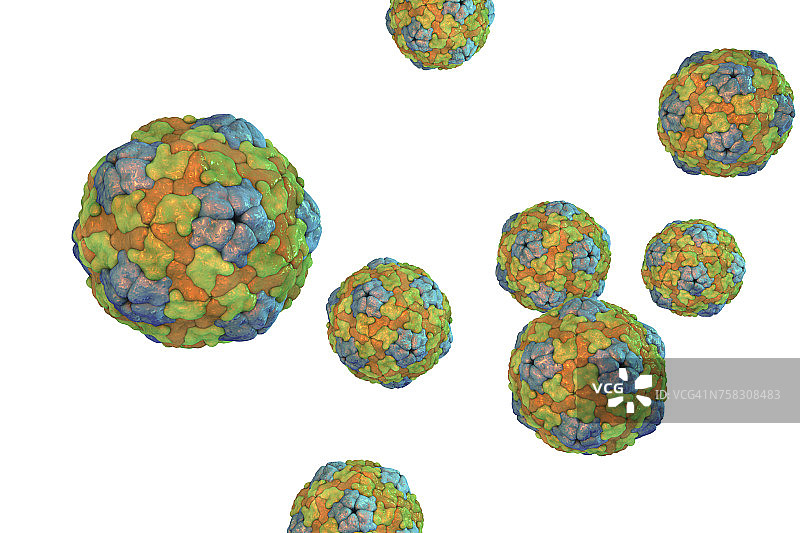 唾液病毒，图示图片素材