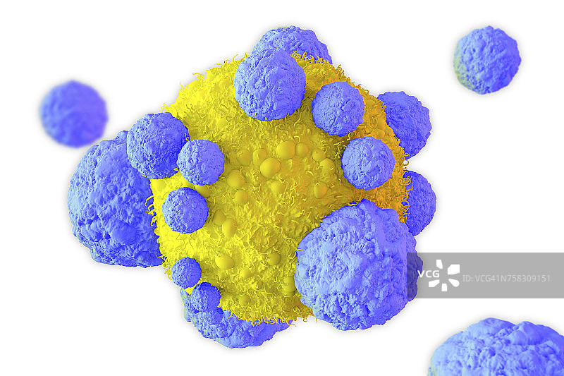 癌细胞和T细胞，图示图片素材