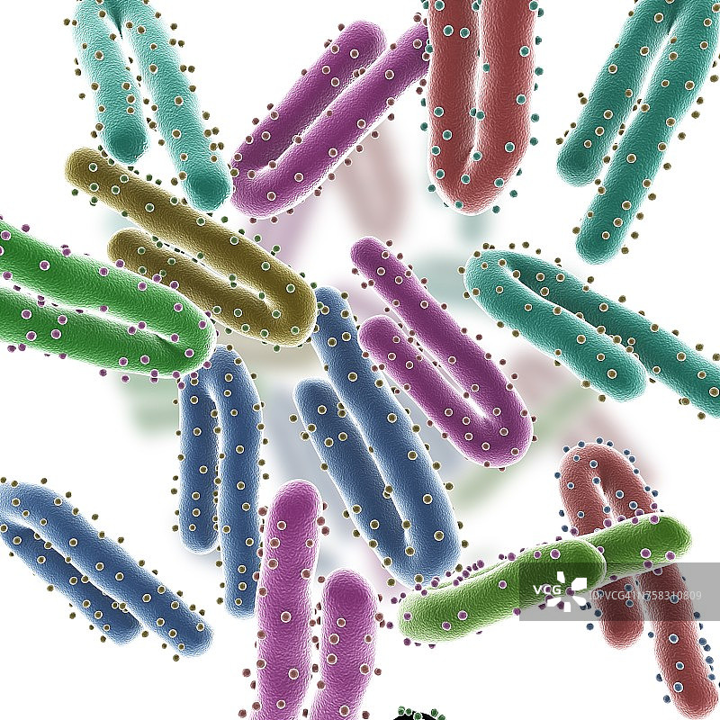 马尔堡病毒颗粒插图图片素材