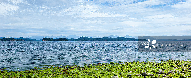 加拿大不列颠哥伦比亚省夸德拉岛海滩上覆盖海藻的岩石图片素材