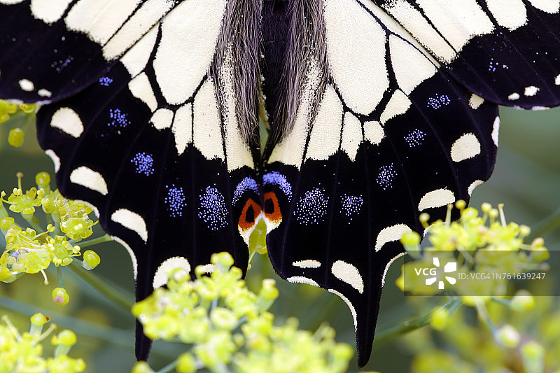 夏天的结束图片素材