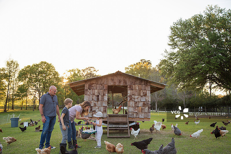 农场里一家人与鸡，母女拿着鸡蛋。图片素材