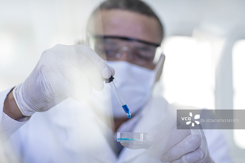 实验人员使用移液管向培养皿滴入液体图片素材