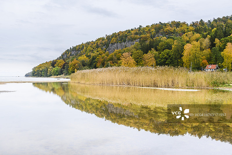 湖边的秋季森林图片素材