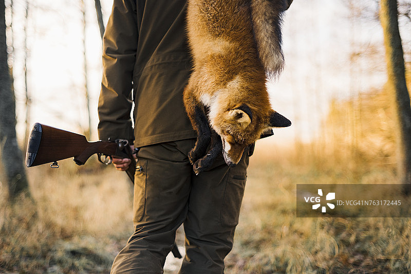 猎人带着狐狸图片素材