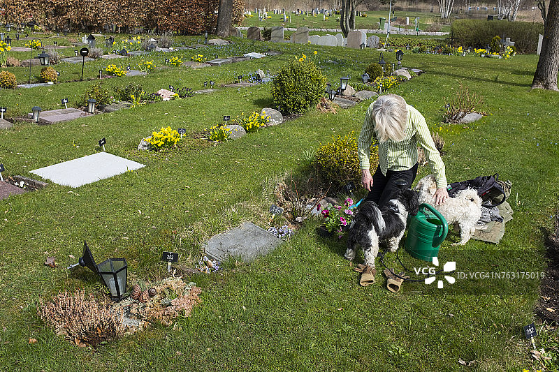 带着狗在宠物公墓的女人图片素材