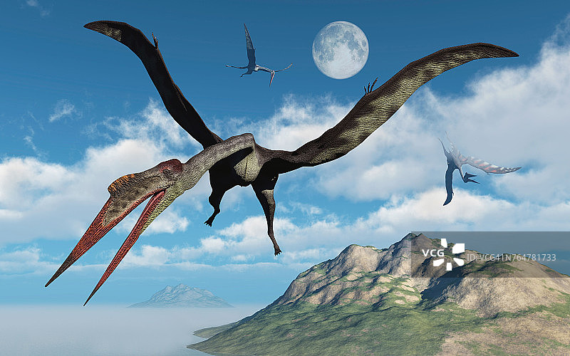 一群飞越岛屿的翼龙图片素材