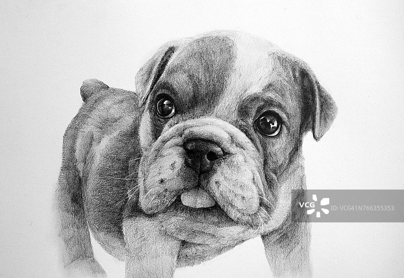 狗铅笔画图片素材