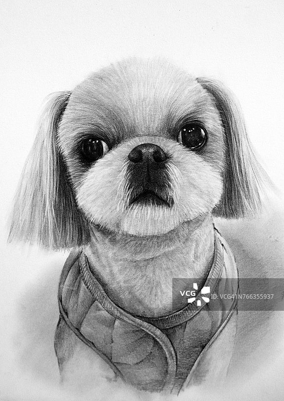 狗铅笔画图片素材