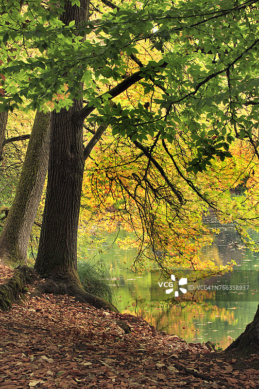 美国俄勒冈州波特兰市劳雷尔赫斯特公园的池塘图片素材