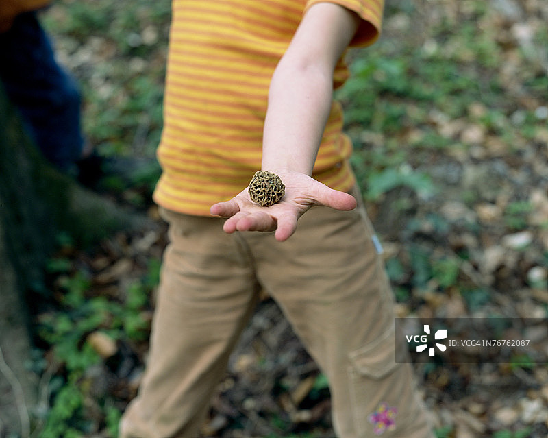 孩子拿着带刺的植物图片素材