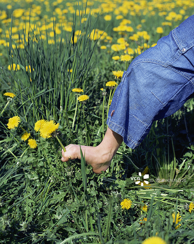花田里的小孩脚丫图片素材