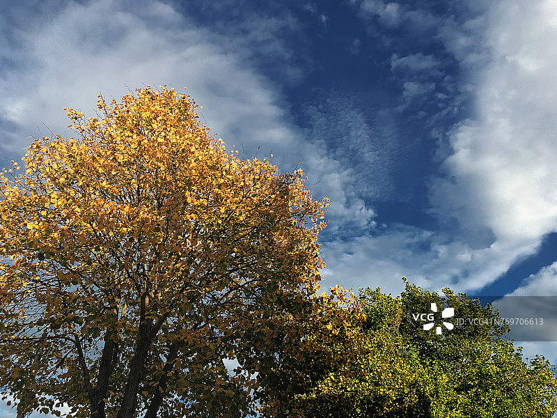 秋天的花园图片素材