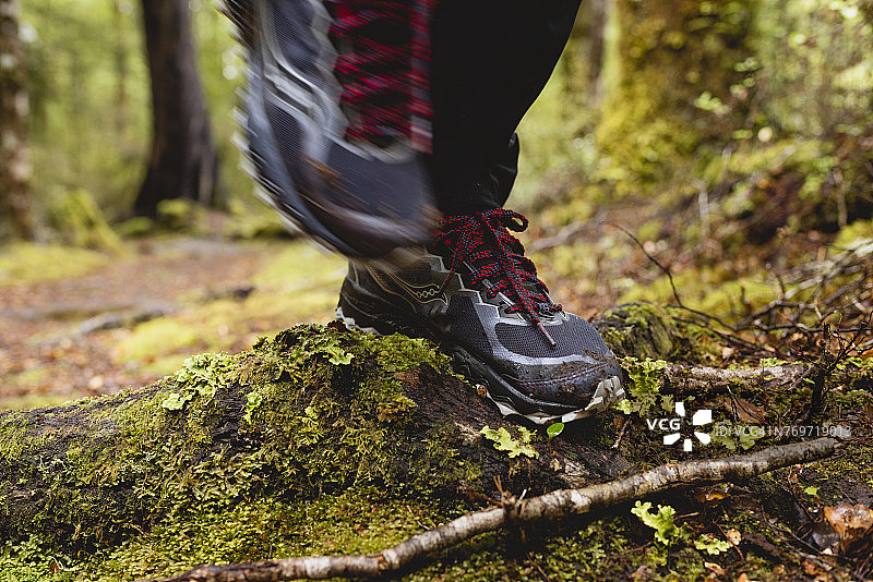 穿过森林的人，低角度图片素材