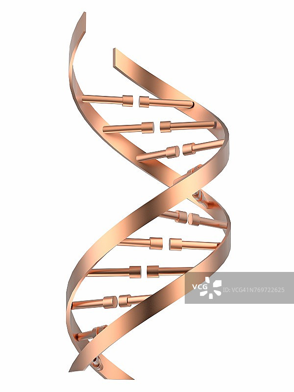 DNA链插图图片素材