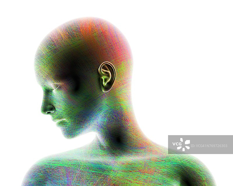 显示线条网络的女人头部插图图片素材